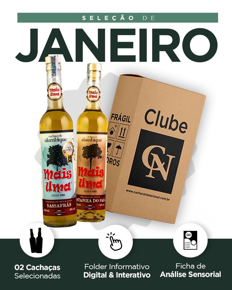 Kit detalhado - Mobile - JANEIRO